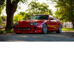 The Supra Gnag