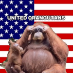 UNITED ORANGUTANS