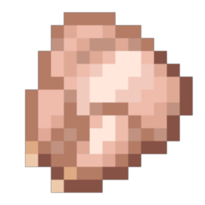 Raw Chicken Minecraft Roblox decal