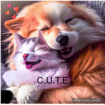 C. U. T. E