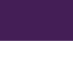 The Cult Of Purple Yanbawa