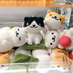 paw