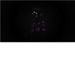 the master enderman