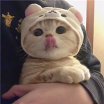 DeIeted Account