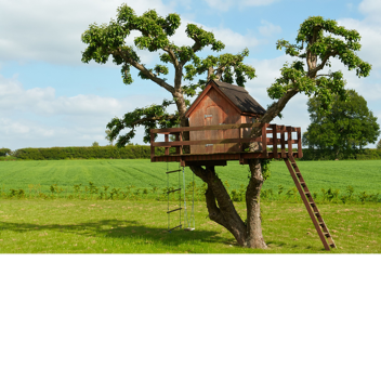 TreeWars