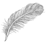 Sea Feather Breeze