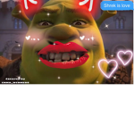 SHREK FAIRYS