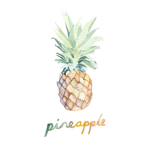 The Tropical Pineapples