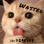 -Wasted-
