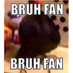 Bruh Fan Fans