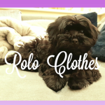 Rolo_Clothes