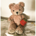 Official.teddy.bears