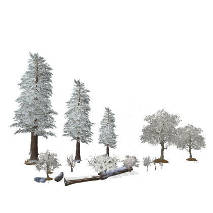 Winter Forest Pack Snow Nature Cold Trees Ice