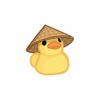 Sensei of ducks