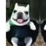 c0cubtezgr0up