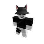 Cute dog and cat club