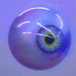 NeoShoots Studios