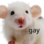 Ģåỳ Ŕåtš