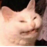 Extraxd