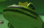 Frog land hub