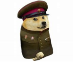SOVIET DOGE ARMY!!!