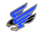 Falcon Studio's