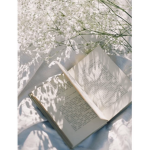 -ｌｕｃｉｄ ｇａｒｄｅｎ-