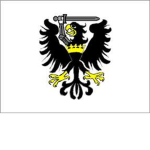 [PFM] Prussian Footmen