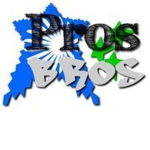 Pros And Bros gamer