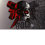 Young N Reckless (YNR)