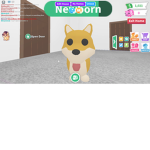 The adopt me savages