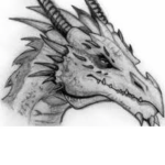 The dragon gamer