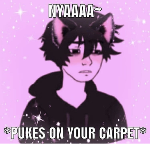 🌈 catboy simulator 🌈