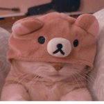 Adorable life
