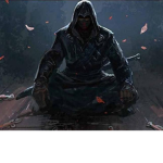 stuped ninja's