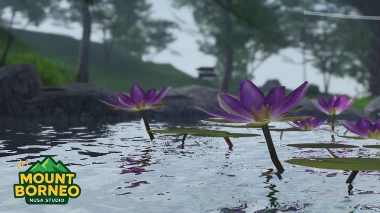 [NEW!] MOUNT BORNEO