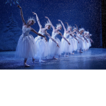 Adopt me dance academy!