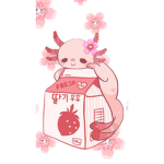 Axolotl’s Concert!