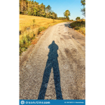 Insane Shadows