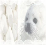 CatChopsticks Group Thumbnail