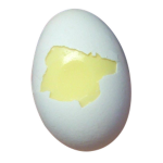 Spoiled egg