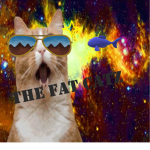 The Fat Catz