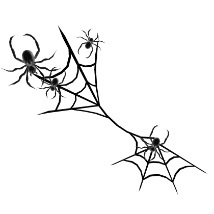 Black n White Spider Body Web