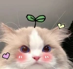UGC emotes..! Group Thumbnail