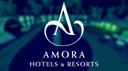| 🏨 Work at a Hotel 🏨  | Amora
