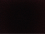 -~Newton girls-~