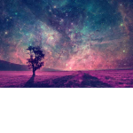 *LUCID DREAMS*