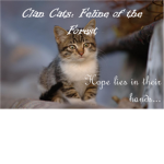 ClashFireClan