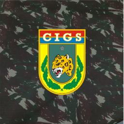 Instrução de Guerra na Selva