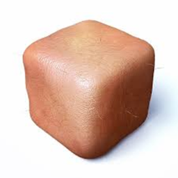 Skin Cube
